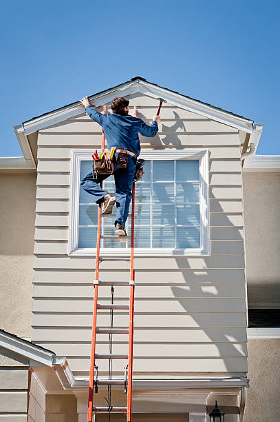 Best Stone Veneer Siding  in Atlanta, IL